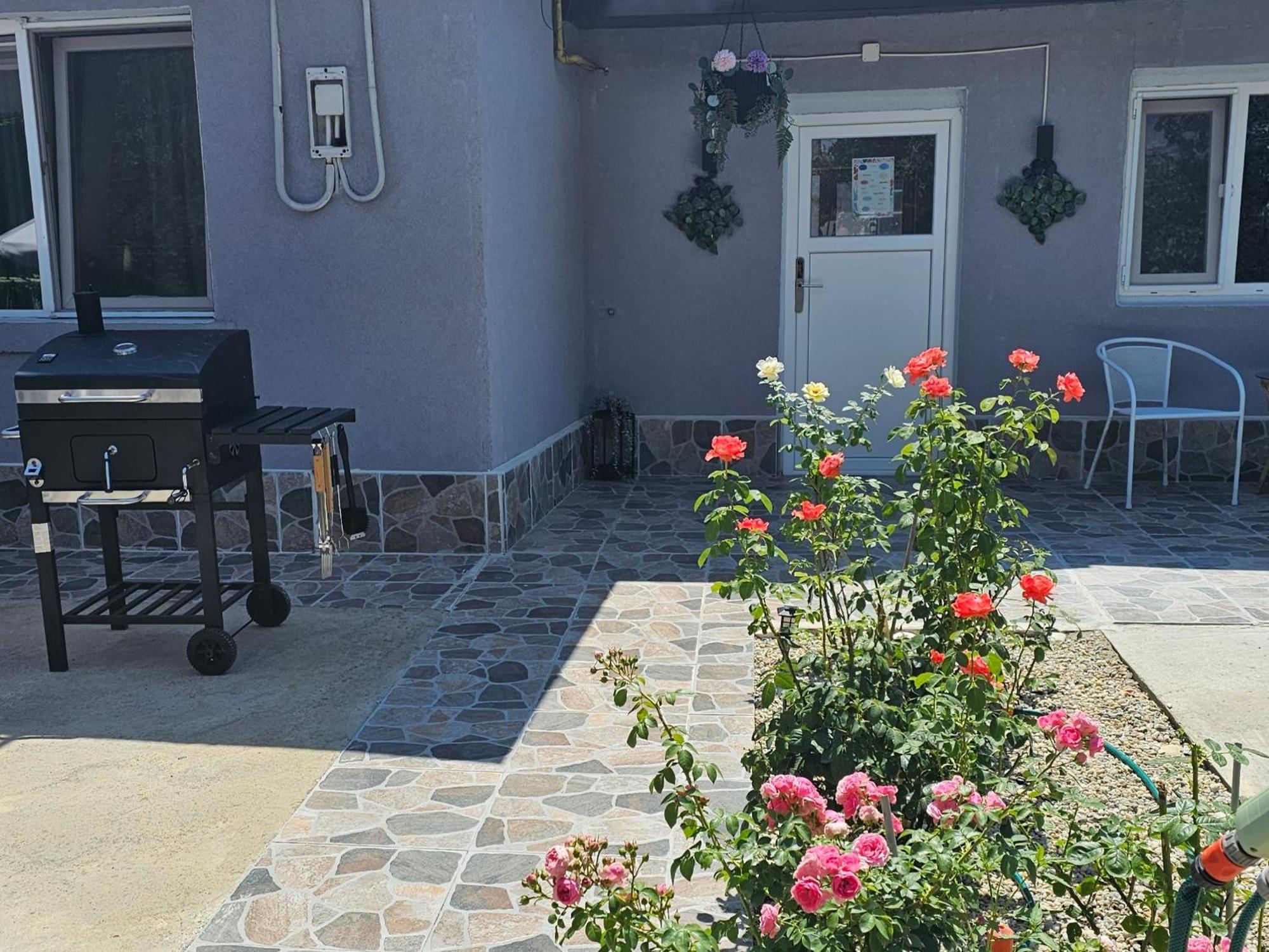 The Purple House-Villa In Bucareste Exterior foto